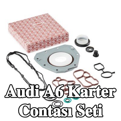 ELRING Krank mili contalı karter conta seti — Audi A6