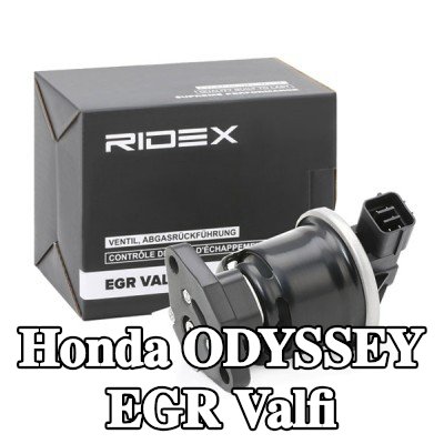 RIDEX Contalı/sızdırmazlık elemanlı EGR valfi — 1997 Honda Odyssey