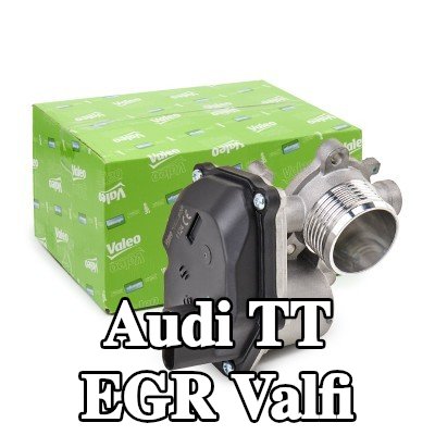 VALEO Contalı/sızdırmazlık elemanlı EGR valfi — Audi Tt