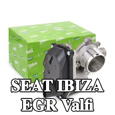 VALEO Contalı/sızdırmazlık elemanlı EGR valfi — SEAT Ibiza