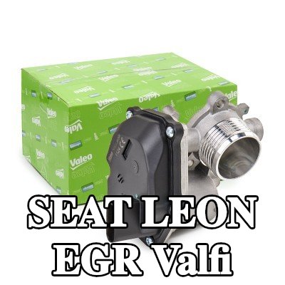 VALEO Contalı/sızdırmazlık elemanlı EGR valfi — SEAT Leon