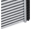 RIDEX Intercooler — Mercedes-Benz R-Class (5)