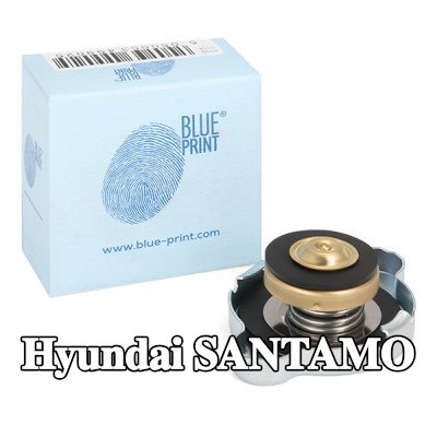 BLUE PRINT غطاء خزان التمدد — Hyundai Santamo