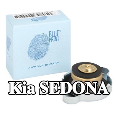 BLUE PRINT غطاء خزان التمدد — 2000 Kia Sedona