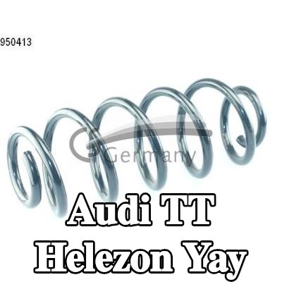 CS Germany Helezon yay — Audi Tt