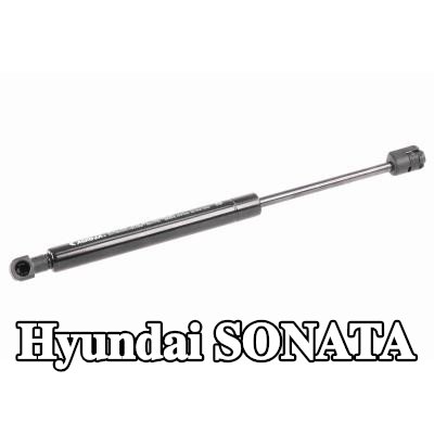 ACKOJA دعامة الباب الخلفي — Hyundai Sonata
