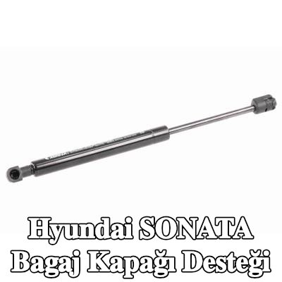 ACKOJA Bagaj kapağı desteği — Hyundai Sonata