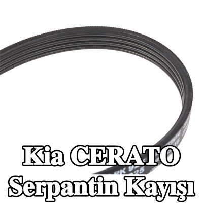 BOSCH Serpantin kayışı 925mm, Number of ribs: 4 — 2002 Kia Cerato
