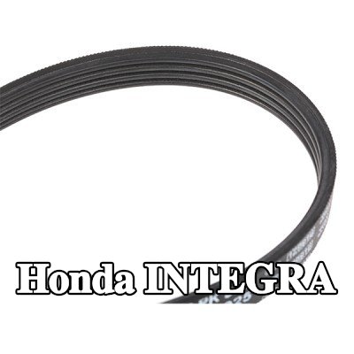 BOSCH حزام سيربنتين 925mm, Number of ribs: 4 — Honda Integra