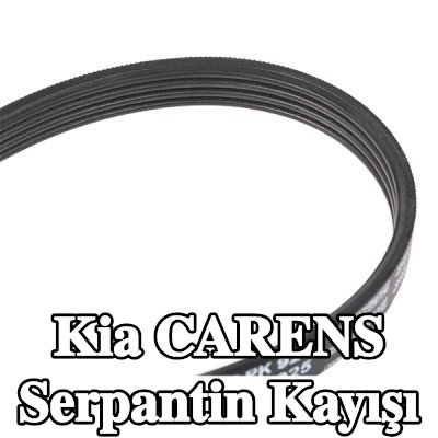 BOSCH Serpantin kayışı 925mm, Number of ribs: 4 — 2002 Kia Carens