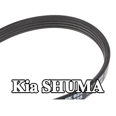 BOSCH حزام سيربنتين 925mm, Number of ribs: 4 — Kia Shuma