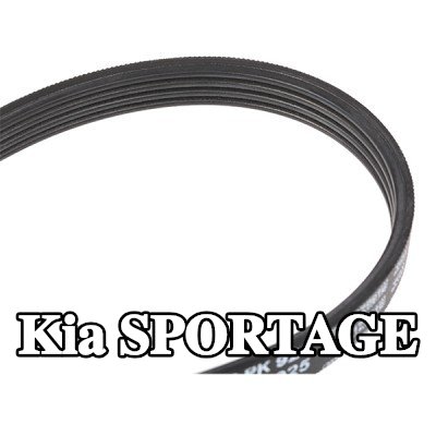 BOSCH حزام سيربنتين 925mm, Number of ribs: 4 — 2002 Kia Sportage