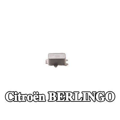 MAHLE مبرد زيت المحرك مع الحشوات/الأختام — 2012 Citroën Berlingo