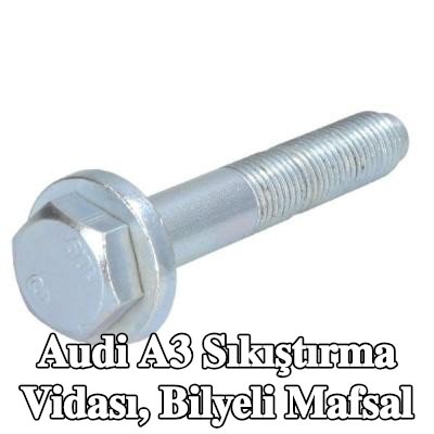 REINHOCH Sıkıştırma Vidası, bilyeli mafsal — Audi A3