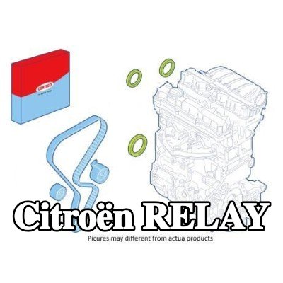 CORTECO مجموعة سدادات العمود, جانب بكرة المحرك — 2000 Citroën Relay