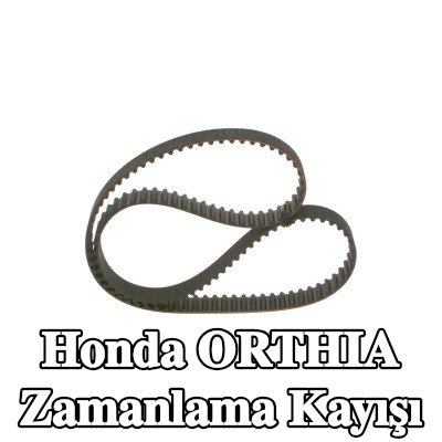 BOSCH Triger Kayışı Diş Sayısı: 125, 1191mm — Honda Orthia