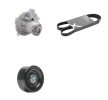 RIDEX Su Pompası + V-Kanalı Kayış Kiti — SEAT Arosa (1)