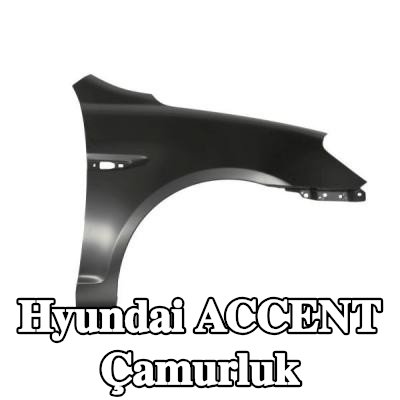 BLIC Çamurluk Sağ Ön — 2008 Hyundai Accent