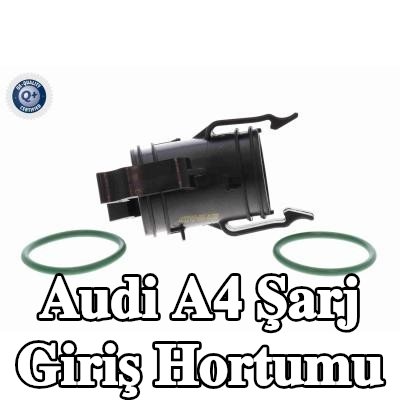 VAICO Şarj giriş hortumu — 2016 Audi A4