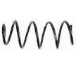 SACHS Helezon yay — SEAT Ibiza (4)
