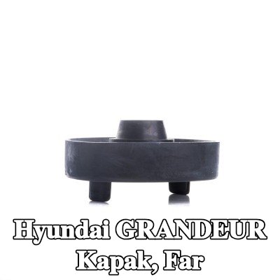 EINPARTS Kapak, far — Hyundai Grandeur