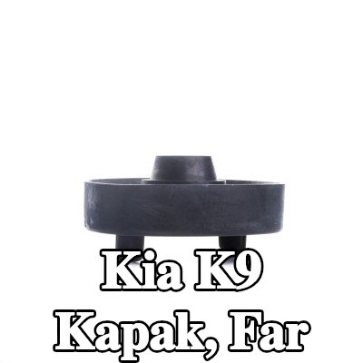 EINPARTS Kapak, far — Kia K9