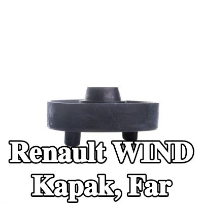 EINPARTS Kapak, far — Renault Wind