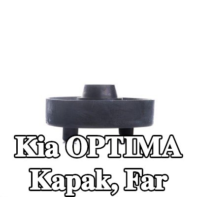 EINPARTS Kapak, far — Kia Optima
