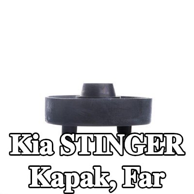 EINPARTS Kapak, far — Kia Stinger