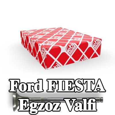 FEBI BILSTEIN Egzoz valfi — 2000 Ford Fiesta