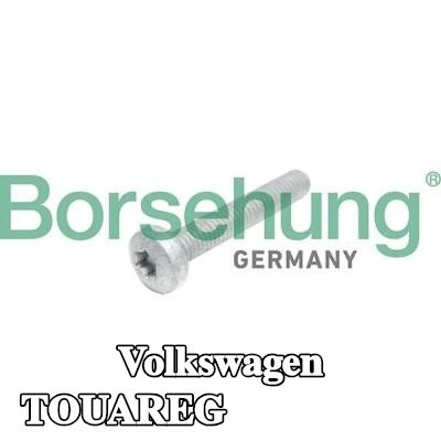 Borsehung برغي رأس الأسطوانة — Volkswagen Touareg