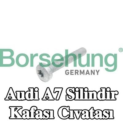 Borsehung Silindir Kafası Cıvatası — Audi A7