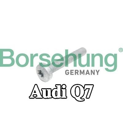 Borsehung برغي رأس الأسطوانة — Audi Q7