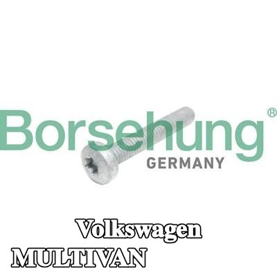 Borsehung برغي رأس الأسطوانة — Volkswagen Multivan