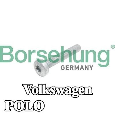 Borsehung برغي رأس الأسطوانة — Volkswagen Polo