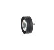 SKF Saptırma / kılavuz kasnağı, V-ribbed belt Ø: 76mm, sabitleme malzemesi ile — 1990 Ford Fiesta (2)