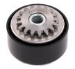 RIDEX Gergi kasnağı Ø: 56mm — 2002 Renault Twingo (3)