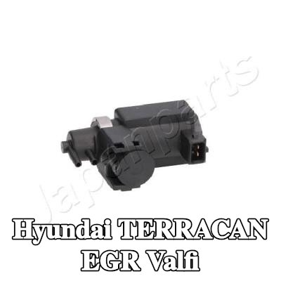 JAPANPARTS EGR valfi — Hyundai Terracan