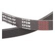 RIDEX PLUS Serpantin kayışı 1590mm, Number of ribs: 6 — Toyota Ractis (4)
