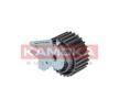 KAMOKA Zincir gergi kasnağı — BMW X5 (4)