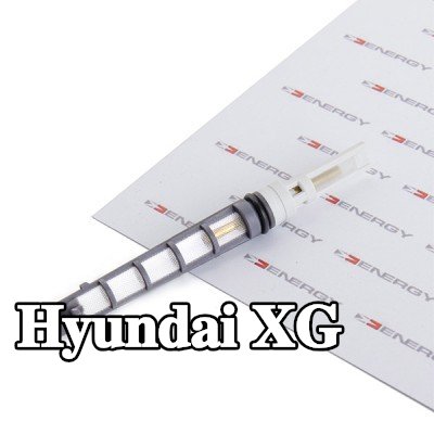 ENERGY فوهة حاقن الوقود، صمام التمدد — Hyundai Xg