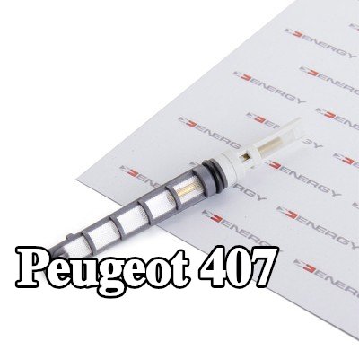 ENERGY فوهة حاقن الوقود، صمام التمدد — Peugeot 407