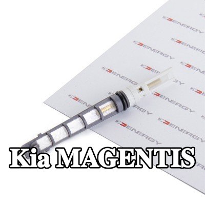 ENERGY فوهة حاقن الوقود، صمام التمدد — Kia Magentis