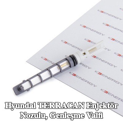ENERGY Enjektör nozulu, genleşme valfi — Hyundai Terracan