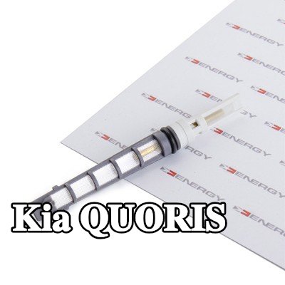 ENERGY فوهة حاقن الوقود، صمام التمدد — Kia Quoris