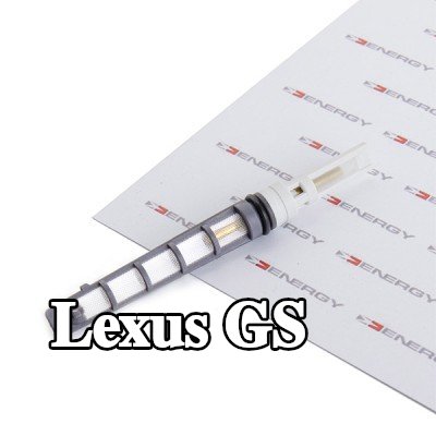 ENERGY فوهة حاقن الوقود، صمام التمدد — Lexus Gs