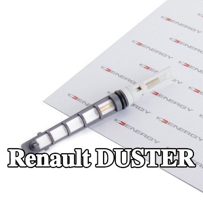 ENERGY فوهة حاقن الوقود، صمام التمدد — Renault Duster