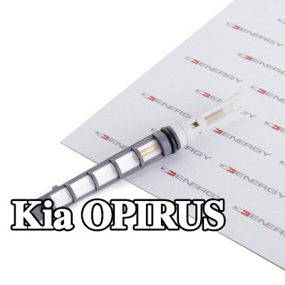 ENERGY فوهة حاقن الوقود، صمام التمدد — Kia Opirus