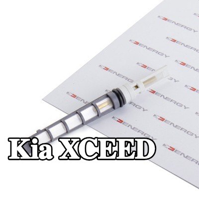 ENERGY فوهة حاقن الوقود، صمام التمدد — Kia Xceed