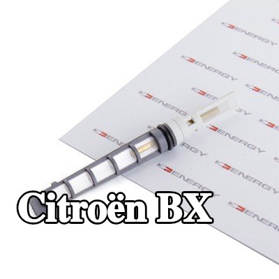 ENERGY فوهة حاقن الوقود، صمام التمدد — Citroën Bx